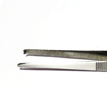 Pinza Quirurgica - 16 CMS