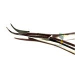 Pinza Espicula Acero Aleman